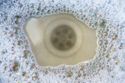 Clogged kitchen drain with soapy standing water