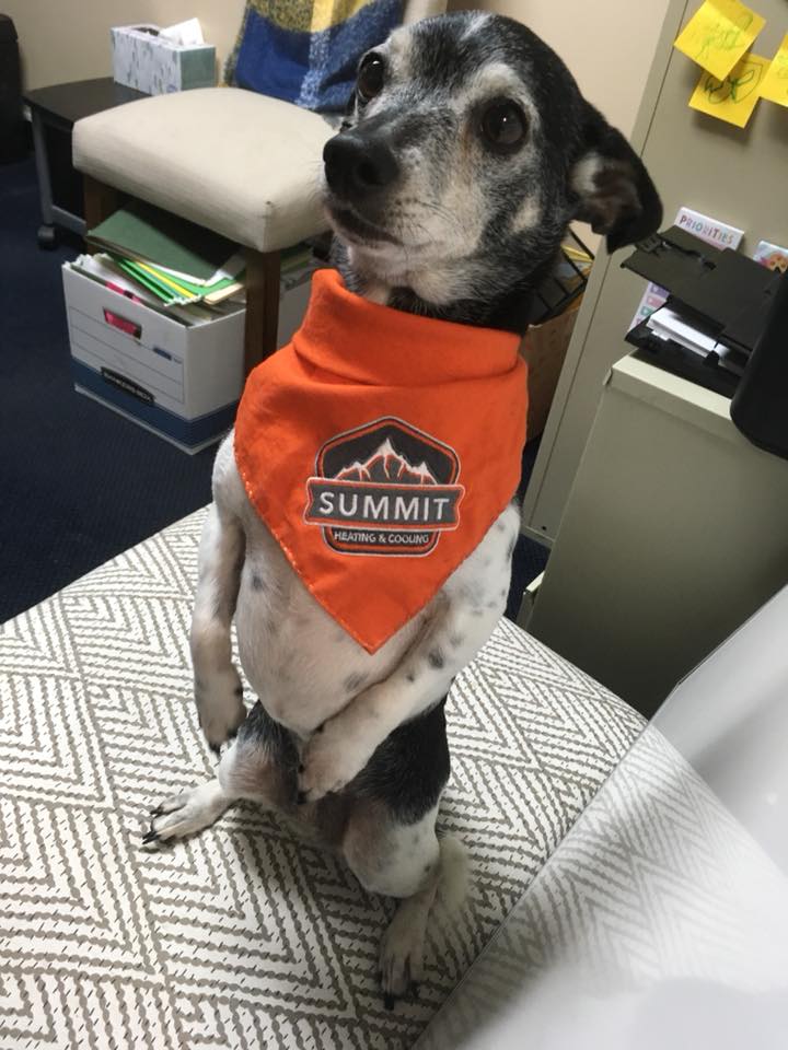 Summit Heating and Cooling Loves Their Employees